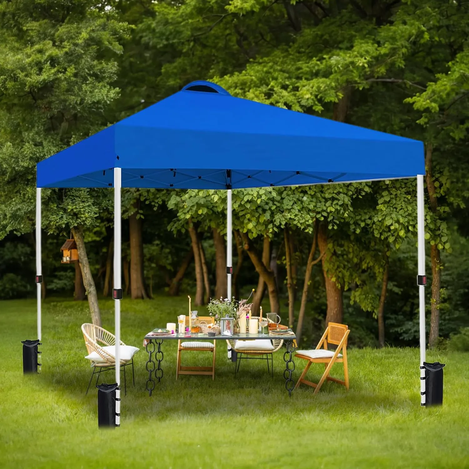 10x10 Pop Up Canopy Tent Waterproof Tent for Outdoor Party Camping Commercial Event Tent, with Wheeled Bag and 4 Sandbags (Blue)