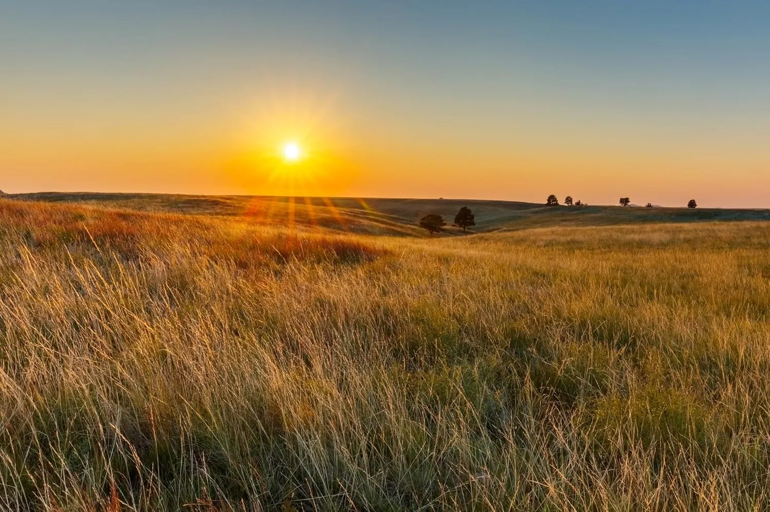 10x8ft Autumn Field Backdrop Grassy Prairies Wild Countryside Sunset Scenery Background Fall Harvest Farmer Hiking Camp Party Decorations Photo Booth Props Wallpaper