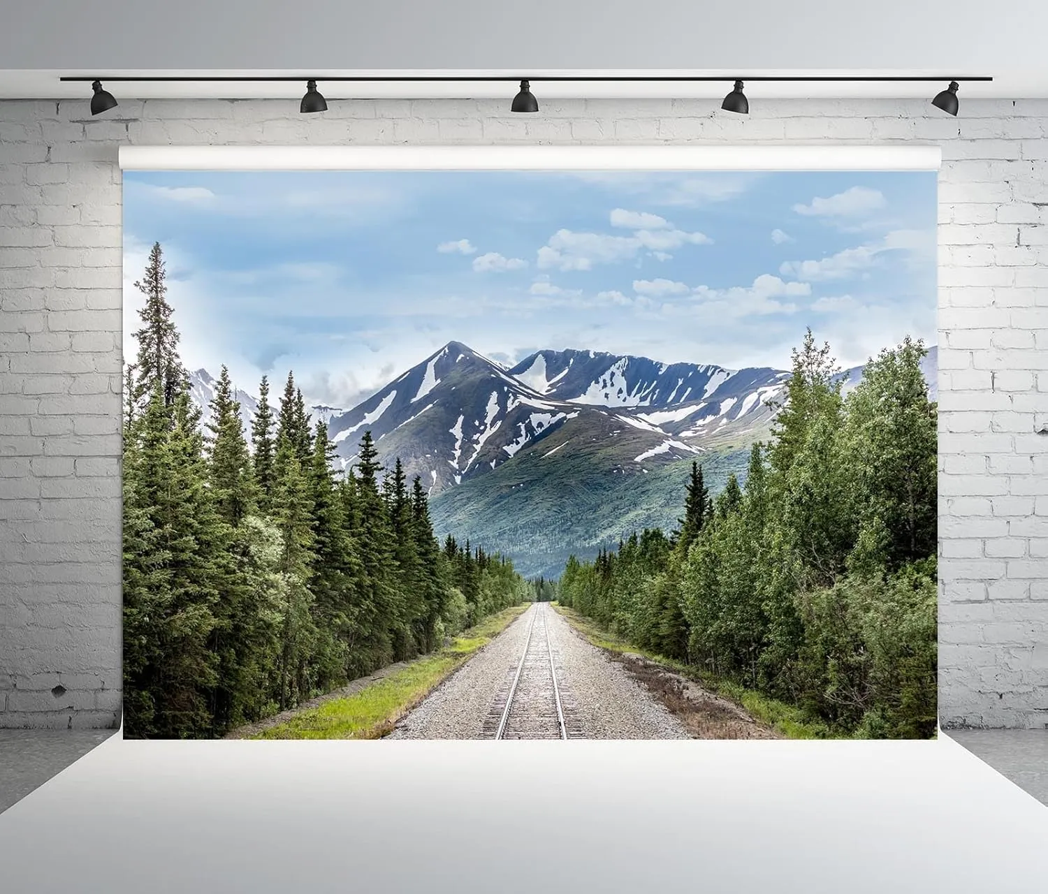 15x10ft Fabric Mountain Railroad Backdrop Denali National Park Wilderness Railroad Photography Background Natural Mountains Backdrop for Travel Hiking Photo Studio Props