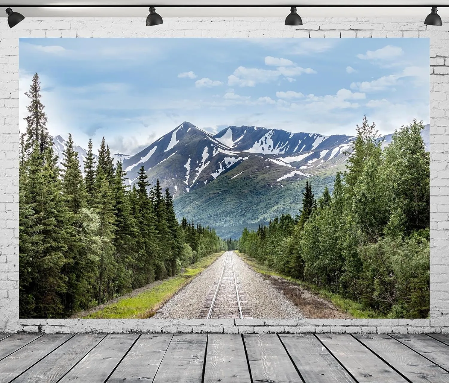 15x10ft Fabric Mountain Railroad Backdrop Denali National Park Wilderness Railroad Photography Background Natural Mountains Backdrop for Travel Hiking Photo Studio Props