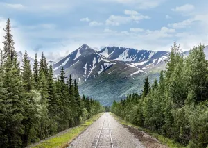 15x10ft Fabric Mountain Railroad Backdrop Denali National Park Wilderness Railroad Photography Background Natural Mountains Backdrop for Travel Hiking Photo Studio Props