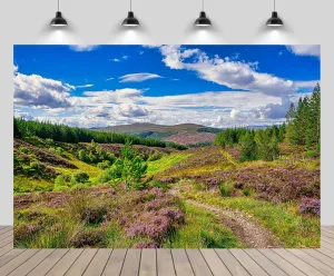 17ftx10ft Nature Valley Backdrop Hiking Trail in Green Forest and Flowers Grassland Footpath Scenery Background Natural Spring Summer Hiking Camp Party Decor Photo Studio Props Wallpaper