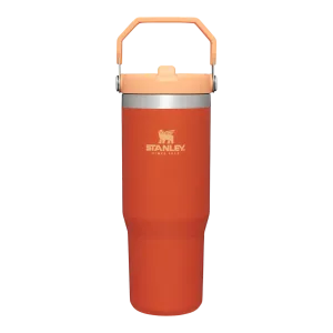 30 Oz Flip Straw