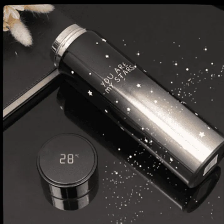 500ML LED Temperature Display Bottle, Stainless Steel Intellective Thermos with Double Bottom, Smart Vacuum Insulated Water Bottle