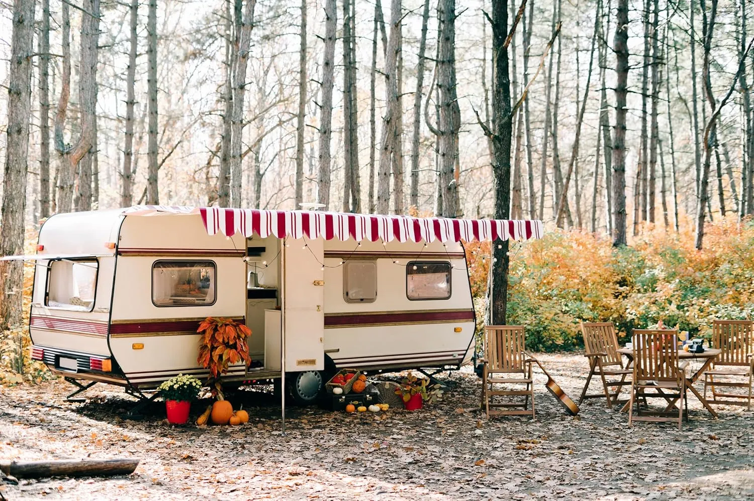 7ftx5ft Autumn Camp Backdrop Camper Van Pine Forest Fall Season Hiking Woods Background Wedding Bridal Shower Fall Hiking Camp Party Decor Photo Booth Studio Props Wallpaper