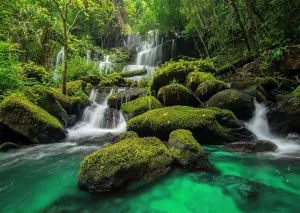7x5ft Fabric Jungle Waterfall Backdrop Rocks Moss Tropical Rainforest Waterfall Natural Scenery Photography Background Outdoor Portrait Party Decorations Wallpaper Vacation Hiking Photo Props