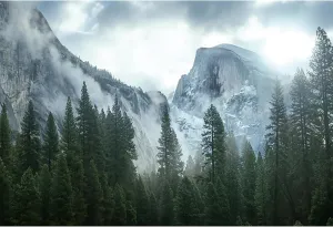 9x6ft Misty Forest Mountain Backdrop Nature Scenery Pine Trees Forest Outdoor Hiking Camping Photography Background Foggy Woodland Landscape Travel Adventure Party Banner Photo Booth Props