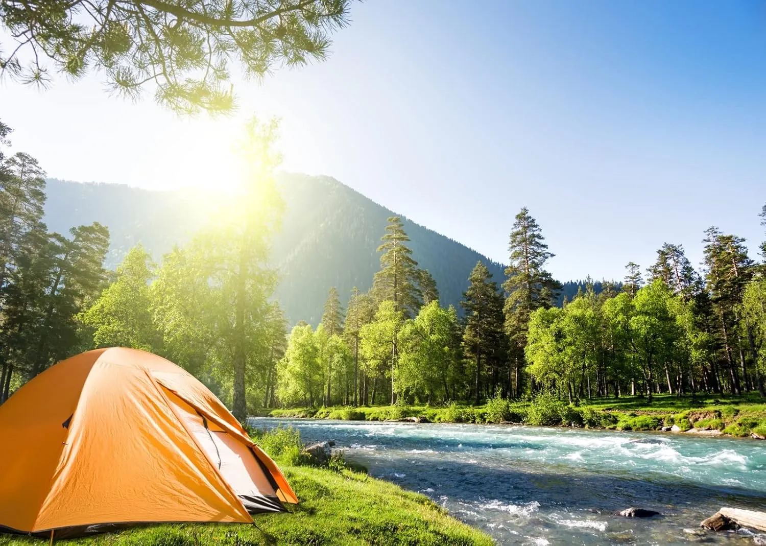 BELECO 9x6ft Fabric Mountain Forest Camping Backdrop Sunshine Outdoor Travel Hiking Mountains Pine Trees River Landscape Grassland Camp Tents Background Kids Birthday Party Decor Photo Shoot Props