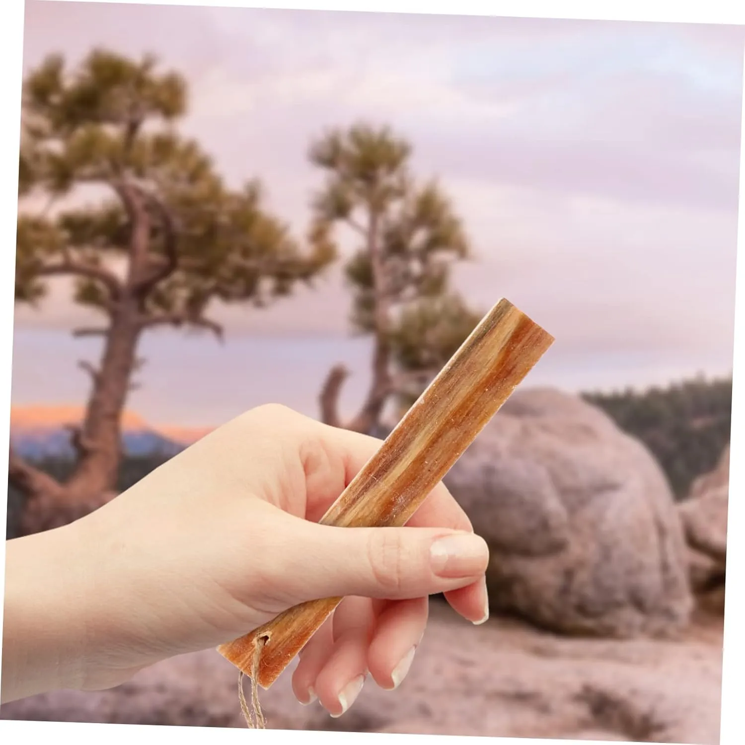 BESPORTBLE 4 Pcs Pine Strips Wood Travel Ignition Stick Catch Fire