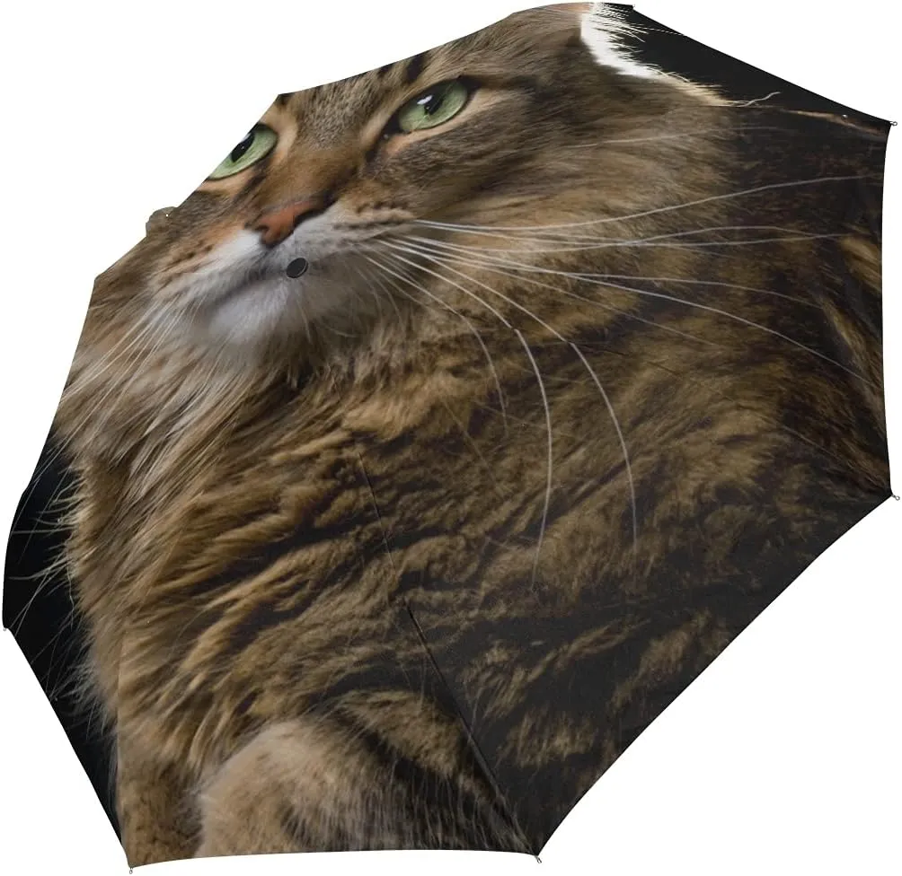 Black Compact Travel Umbrella Maine Coon Cat Auto Open Close Umbrella Windproof Anti-UV
