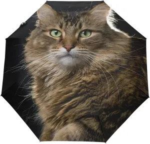 Black Compact Travel Umbrella Maine Coon Cat Auto Open Close Umbrella Windproof Anti-UV