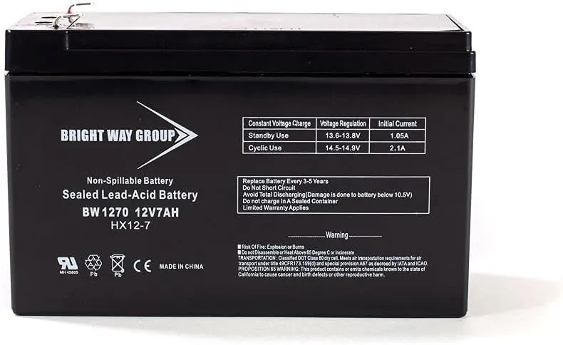 Bright Way Replacement Battery for SLA Fire-Lite FCPS-24FS6 12V 7Ah Alarm