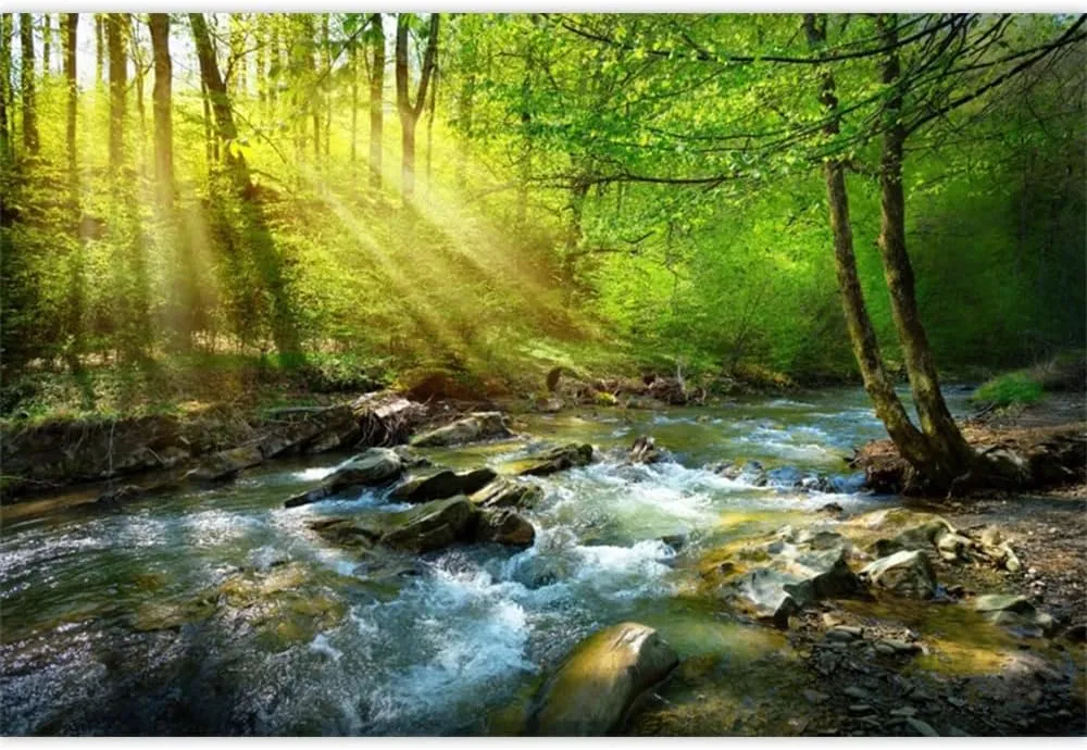 ChloropLastid 10x8ft Forest Waterfall Backdrop Tropical Rainforest Rocks Moss Sunshine Green Forest Background for Photography Natural Stream Scenery Hiking Tourism Photo Banner Studio Props