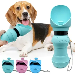 Collapsible Water Bottle
