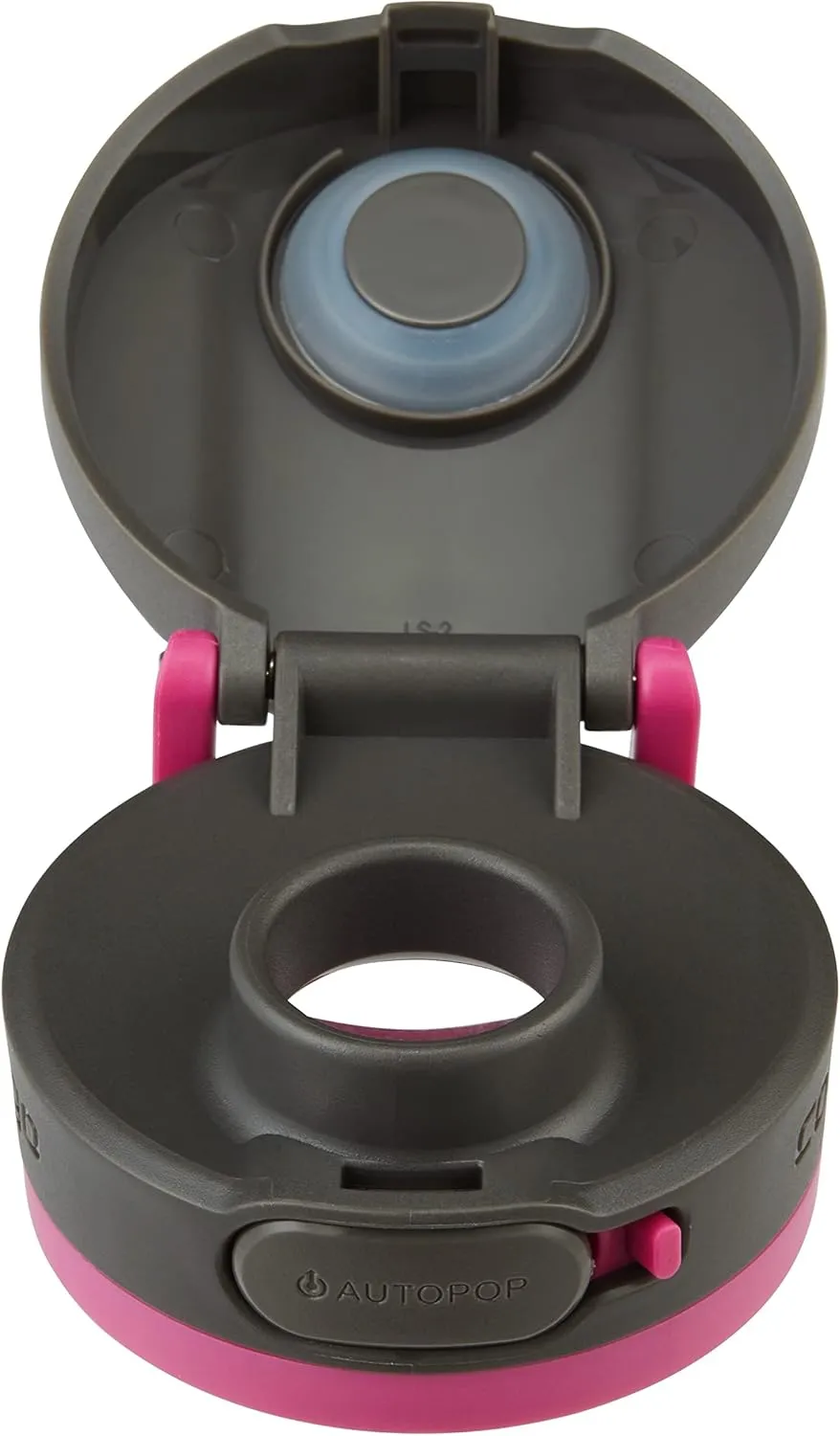 Contigo Jackson 2.0 Tritan Water Bottle with AUTOPOP Lid, 32oz, Dragon Fruit