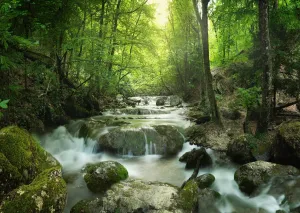 CORFOTO 7x5ft Fabric Forest Waterfall Backdrop Rocks Moss Waterfall Background Tropical Forest Photography Backdrop for Kids Adults Portrait Summer Vacation Hiking Tourism Photo Booth Studio Props