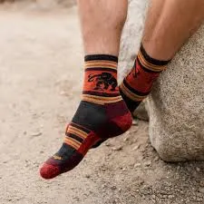 Darn Tough Men's Willoughby Micro Crew Lightweight Hiking Sock