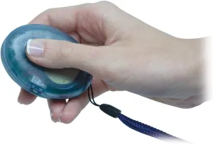 Digital Talking Compass - English-French Speaking