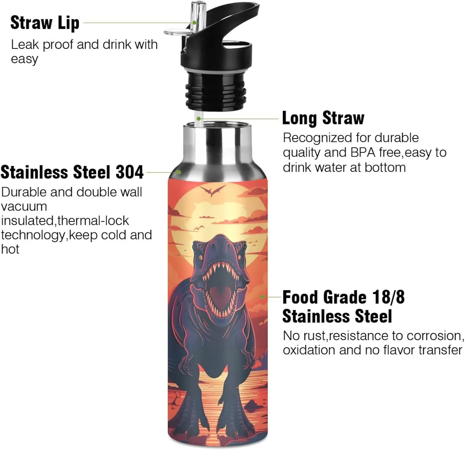 Dinosaur Water Bottle Kids Boys Girls Insulated Stainless Steel Hot Cold Water Flask with Straw Lid for Sports Gym Running 20 oz