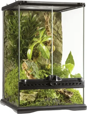 Exo Terra Glass Terrarium - 12 x 12 x 18 inch