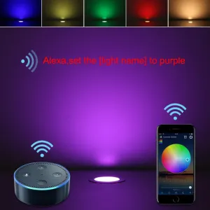 FVTLED LED Deck Lights Kit, 20pcs Φ1.22 Smart WiFi Control Low Voltage RGBW Recessed LED Lighting Works with Alexa & Google Assistant, Waterproof Deck Stair Lights for Yard Garden Stair Patio Pool