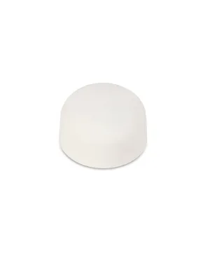 Glass Water Bottle Replacement Lid