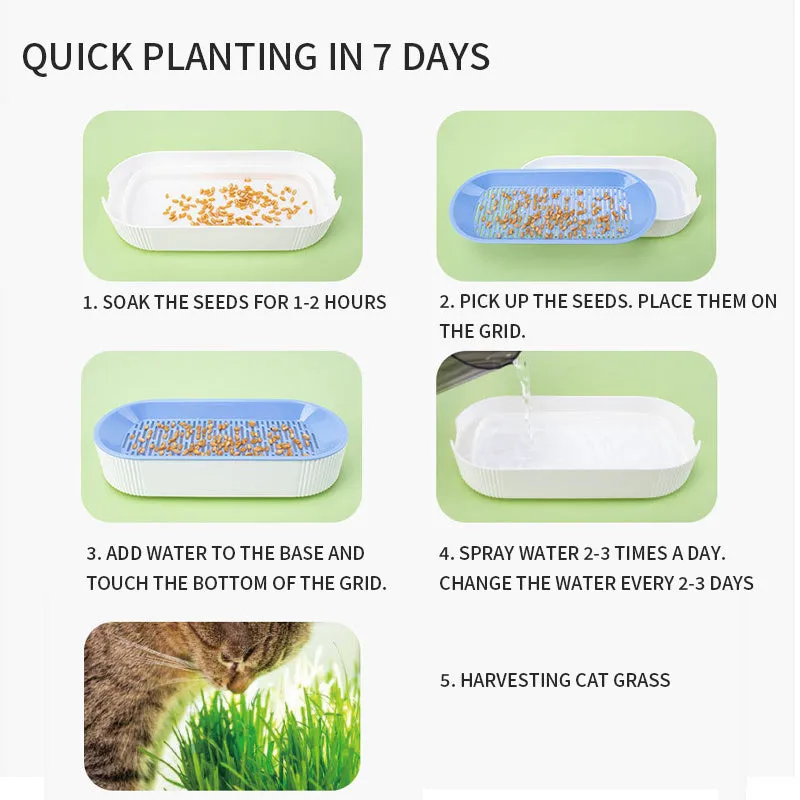 Hydroponic Cat Grass Growing Kit - Soilless Plastic Tray