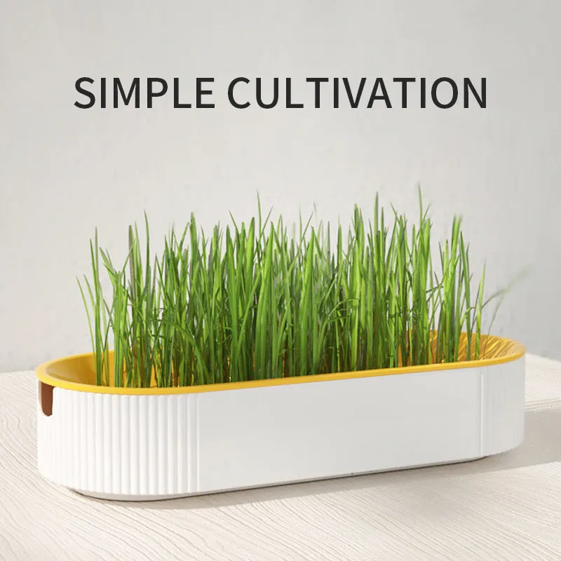 Hydroponic Cat Grass Growing Kit - Soilless Plastic Tray