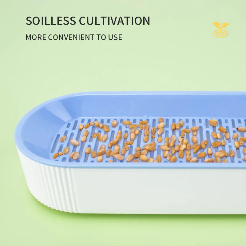 Hydroponic Cat Grass Growing Kit - Soilless Plastic Tray