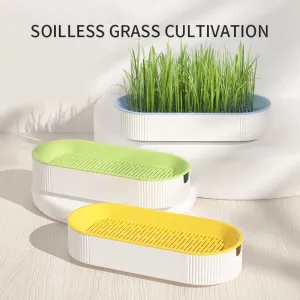 Hydroponic Cat Grass Growing Kit - Soilless Plastic Tray