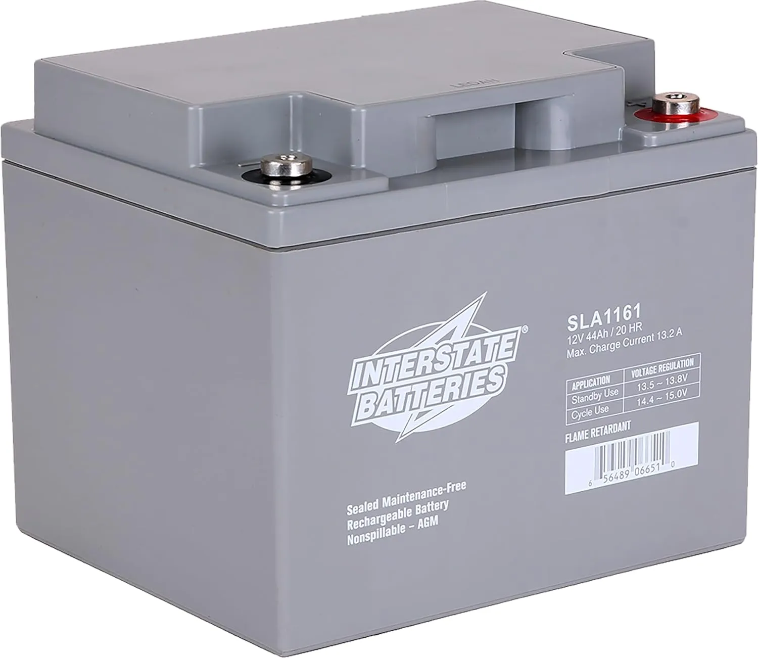 Interstate Batteries 12V 44Ah Battery (Insert Terminal) SLA AGM VRLA Rechargeable Replacement for UPS Backup Power, Fire & Security, Emergency Lighting (SLA1161)