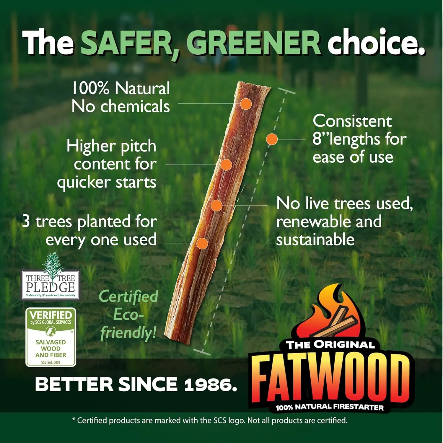 Limited Edition Protect The Parks Series All Natural Fatwood Fire Starter Sticks for Wood Stove 13-lb Wooden Crate, Glacier