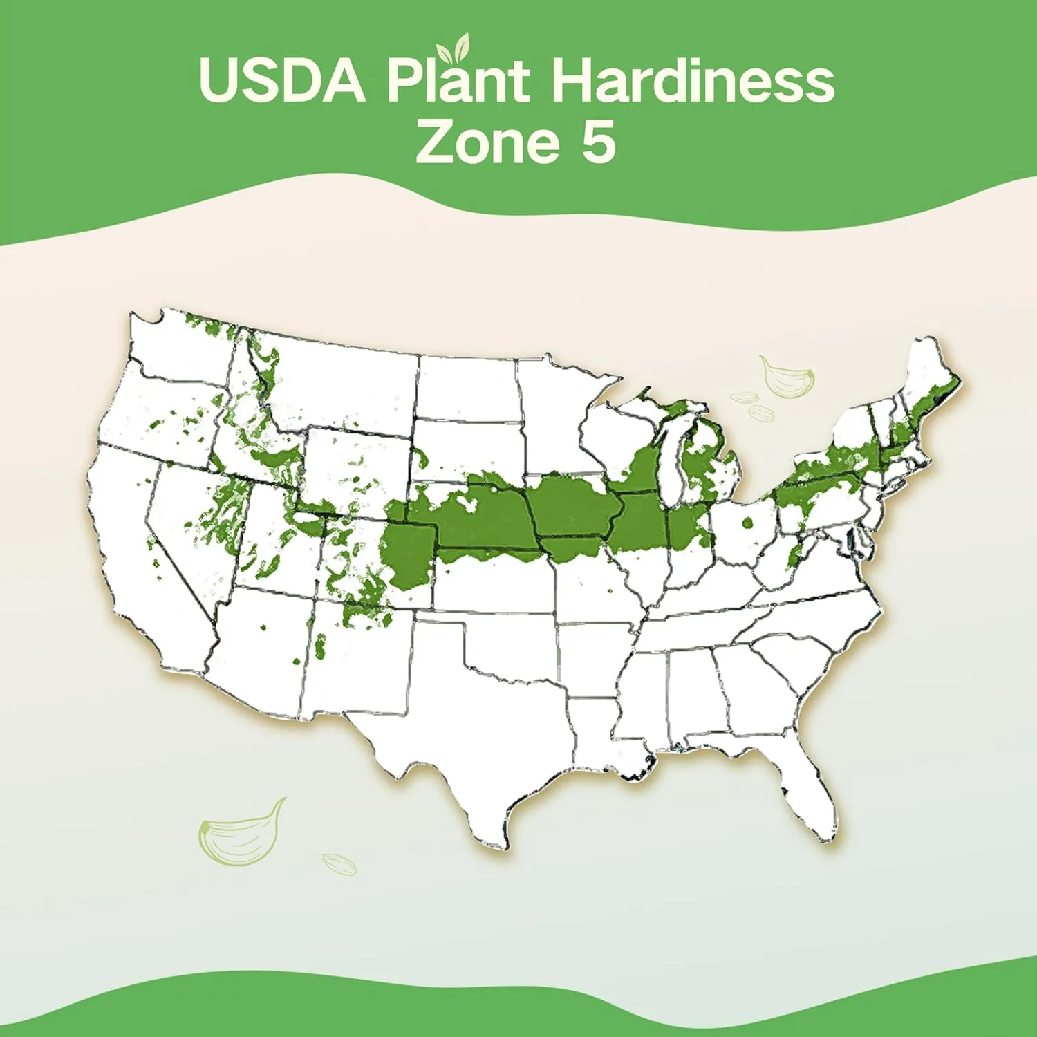 Lush&Dew Year-Round USDA Zone 5 Seed Bank, 32 Varieties Non-GMO Seeds of Vegetables, Herbs, Flowers, Fruits, Gardening Gifts, Emergency, Survival Gear Food, Indoor Outdoors Gardening (USDA Zone 5)