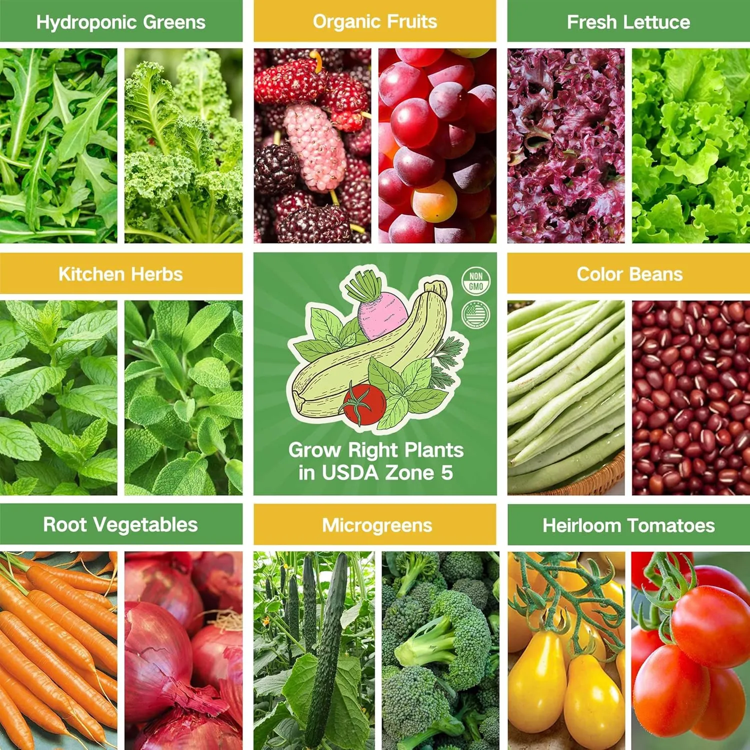 Lush&Dew Year-Round USDA Zone 5 Seed Bank, 32 Varieties Non-GMO Seeds of Vegetables, Herbs, Flowers, Fruits, Gardening Gifts, Emergency, Survival Gear Food, Indoor Outdoors Gardening (USDA Zone 5)