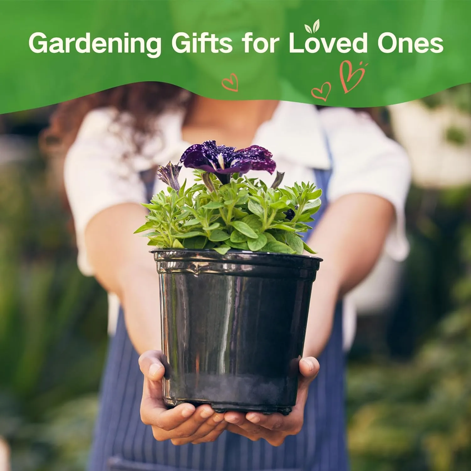 Lush&Dew Year-Round USDA Zone 5 Seed Bank, 32 Varieties Non-GMO Seeds of Vegetables, Herbs, Flowers, Fruits, Gardening Gifts, Emergency, Survival Gear Food, Indoor Outdoors Gardening (USDA Zone 5)