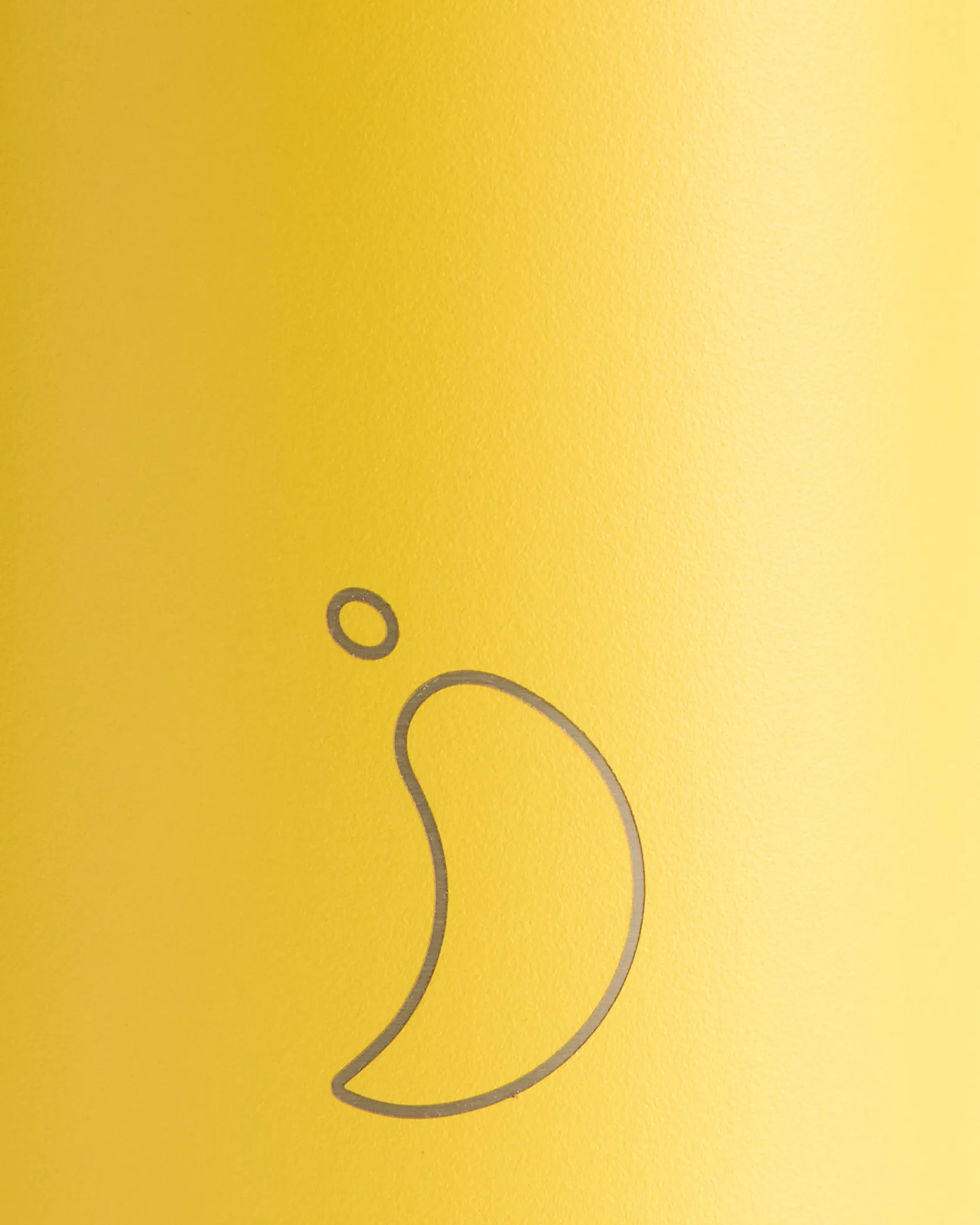 Matte Burnt Yellow Water Bottle