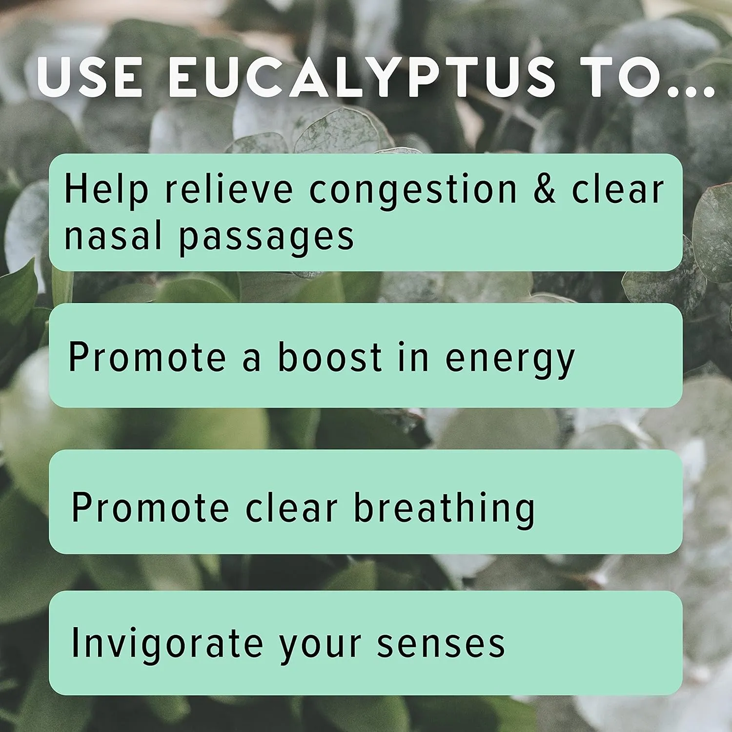 MOXĒ Eucalyptus Essential Oil Nasal Inhaler, Sinus & Congestion Relief, Daily Relaxation, Stress Relief, Therapeutic No-Mess Aromatherapy, Pure and Natural, Made in USA (3 Pack)