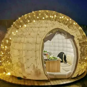 Outdoor Inflatable Bubble Camping Tent Bubble House, Waterproof Clear Dome Camping Cabin for Family Camping Stargazing,110v-8ft