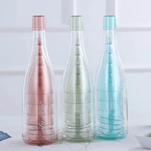 Portable Travel Wine Glass Set - Collapsible Bottle and Glasses