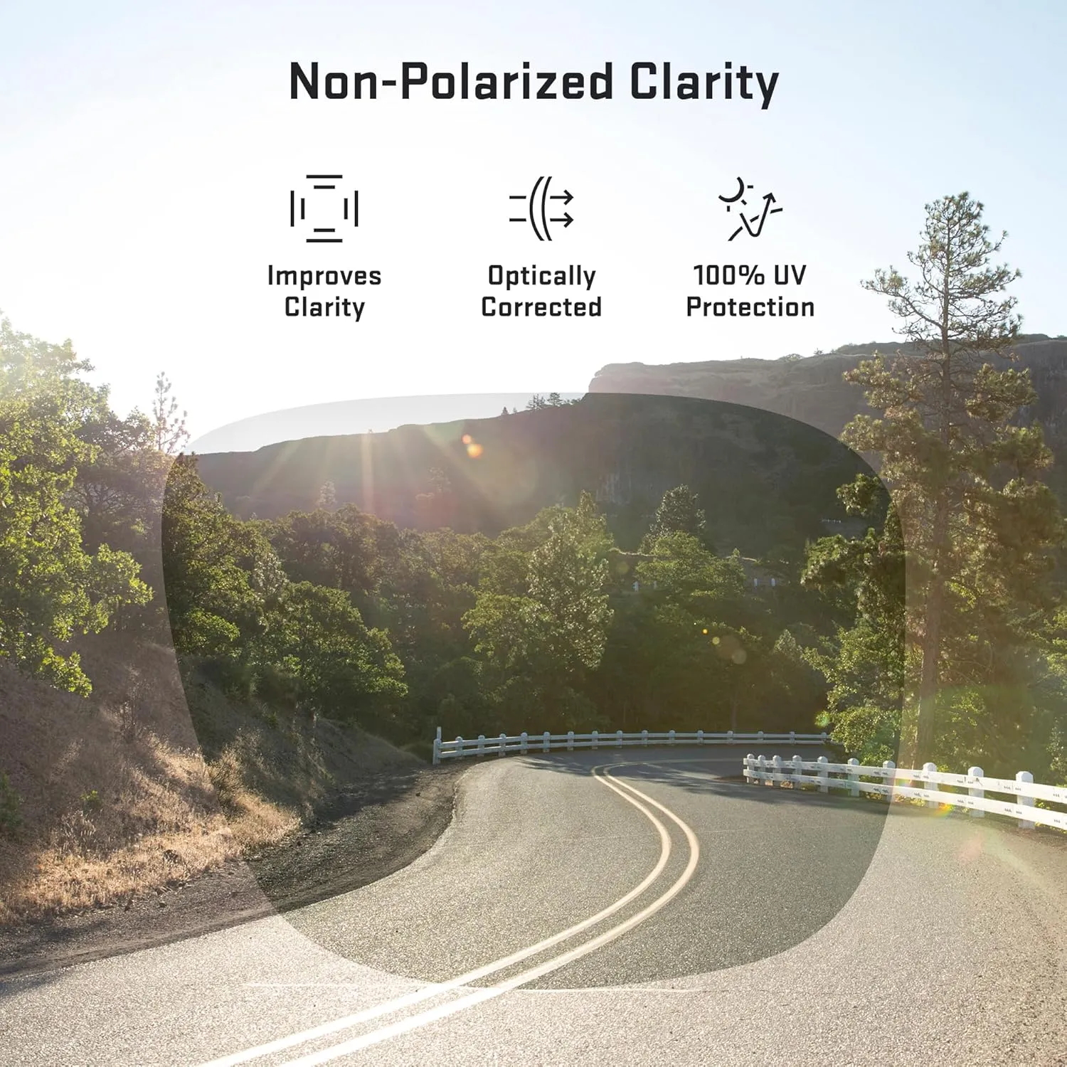 Revant Replacement Lenses for Wiley X Compass