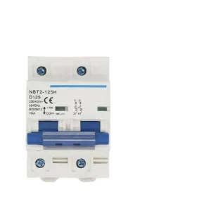 Safe & Efficient 2 Poles Breaker Small Designs with Easy Operate Household Electrical Safety for Home Electrical System M4YD(100A)