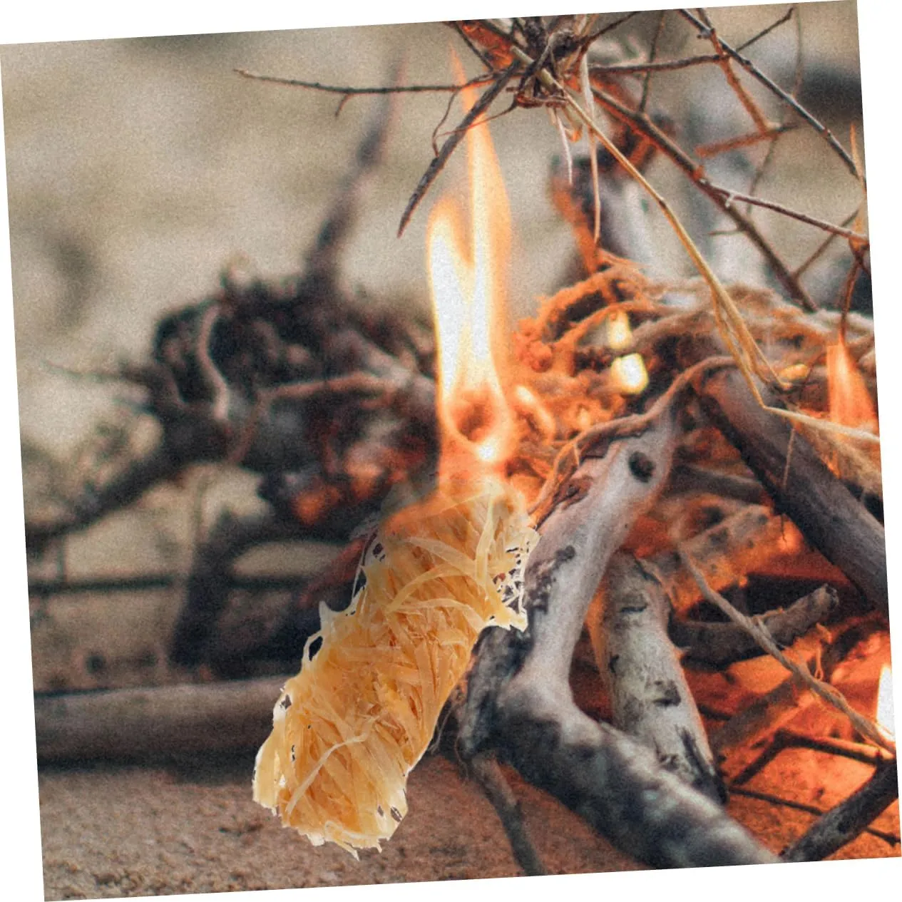 Sets Camping Fire Wood Firelighters Barbecue Firelighters Wood Burner for Emergency Outdoor Cooking Pcs