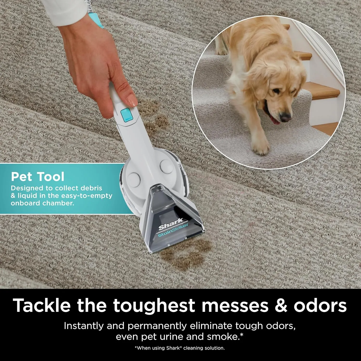 Shark StainStriker Portable Carpet and Upholstery Cleaner with Pet Mess Extractor, Spot, Stain, & Odor Remover for Carpet, Area Rugs, Couches, Upholstery, Auto Interior & More, White, PX201
