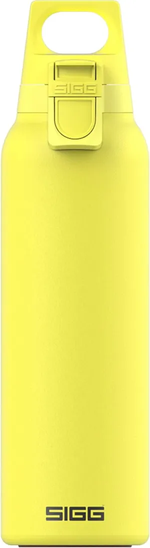 SIGG - Insulated Flask - Thermo Hot & Cold ONE Light - Fruit Filter- BPA-Free - Stainless Steel - 19 Oz