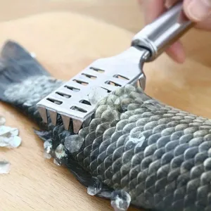 Stainless Steel Fish Scale Remover