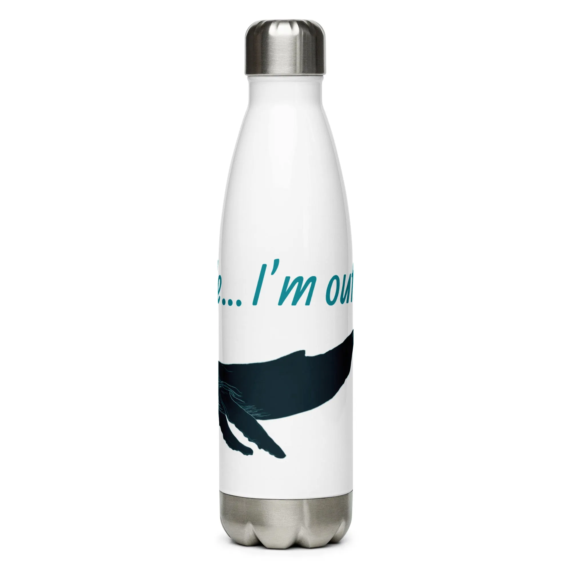 Stainless Steel Water Bottle