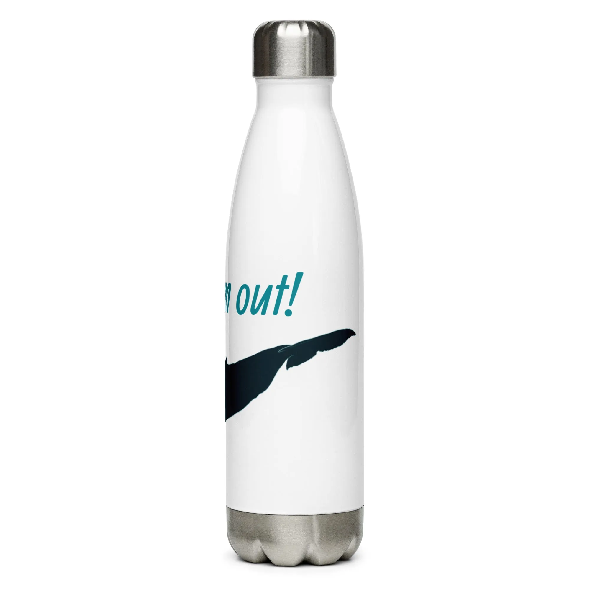 Stainless Steel Water Bottle