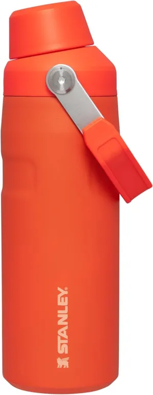 Stanley IceFlow Fast Flow Water Bottle 16 oz | Angled Spout Lid | Lightweight and Leakproof for Travel and Sports | Insulated Stainless Steel | BPA-Free |Tigerlily