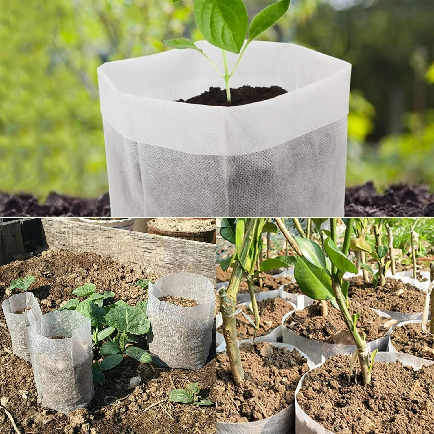 Tarklanda Nursery Bags, Plant Grow Bags, 200pcs 7.8 x 8.6 Inches, Biodegradable, White, Indoor/Outdoor, Fruits, Vegetables, Flowers