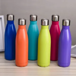 The Leakproof Stainless Steel Bottle